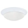Sea Gull Lighting 75434-15 Flush Mount with Satin Etched Glass