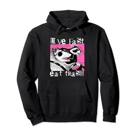 Live Fast Eat Trash Tee Funny Possum Racoon Retro Sunglasses Pullover Hoodie
