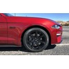 Ford M1447M50AB 2015-2020 Mustang GT 5.0 Fender Emblems Black