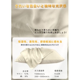 ottosvo Pillowcase Double-Sided Satin, 22 Momme, Envelope Type, Washable, Satin Pillow Cover, Breathable, Lustrous, Hair Beautiful, Skin-friendly, Reduces Friction, Dust Mites, Antibacterial,