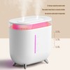 Humidifier 2L Capacity USB Charging Delicate Double Spray Humidifier with