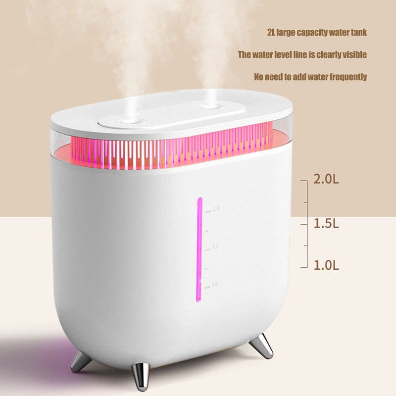 Humidifier 2L Capacity USB Charging Delicate Double Spray Humidifier with