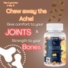 SOHM ADDS LIFE TO LIVES Glucosamine and Chondrotin Gummies 60