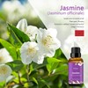 Jasmine Essential Oil, ESSSLUX Aromatherapy Oils for Diffuser, Massage, Soap,
