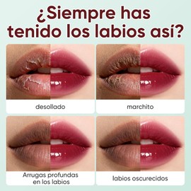 Lip Oil, Labios Carnosos, Bálsamo Labial, Imprescindible de Viaje Bálsamo Labial Hidratante, Adecuado Para Hidratar y Prevenir La Sequedad y El Agrietamiento (Black Cherry)