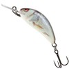 Salmo Hornet Wobbler Mini Wobbler D, Salmo Colours: Real Dace,