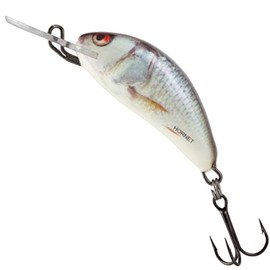 Salmo Hornet Wobbler Mini Wobbler D, Salmo Colours: Real Dace, Length / Weight / Running Behavior / Diving Depth: 2.5 cm / 1.5 g / Sinking / 0.5 - 1.0 m