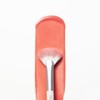 Fillimilli Watery Blusher Brush 887 Set (+Pact Type Makeup Palette)