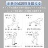 FsGrg Core Slider, Sliding Disc, Slide Board, Leg Sliders, Abdominal