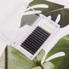 Lunamoon Volume Eyelashes, 4D W Eyelash Extension, Premade Fans Eyelash