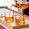 DOPUDO Glass Teacups 250ml Set of 2 Borosilicate