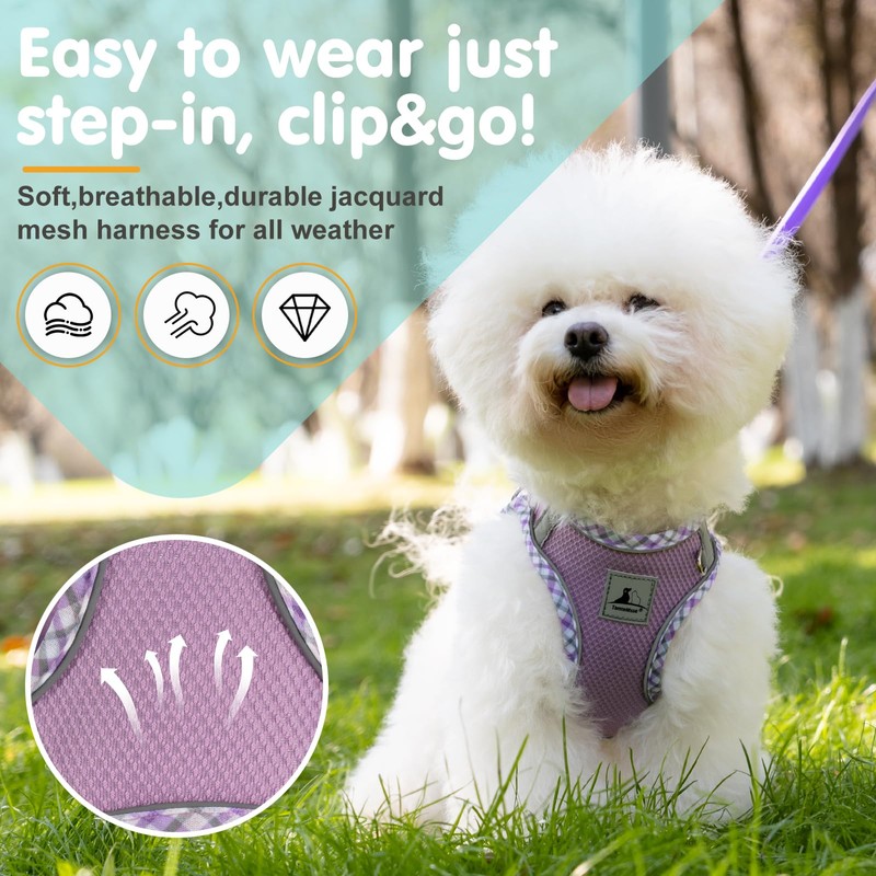 TomteNisse Dog Harness & Leash Set - No Pull Soft