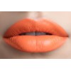 Labial Indeleble Acabado Mate Colores Neon