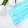 Tinsel Curtains, Pack of 6 Blue Glitter Curtain Fringe 1