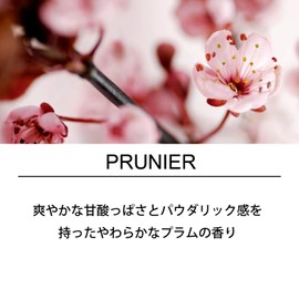 Esteban Esprit de Nature Plum Pack of 40