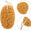 Esponjas de baño exfoliantes BAZEITFLOW – 2 pzas para ducha