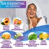 Aromatherapy Shower Steamers Gift Set, Six Fizzies - Uplifting, Relaxing,