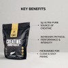Healthspan Elite All Blacks Creatine Monohydrate (500g) | Increase Physical