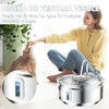 JUHANI Fuente de Agua para Gato, 3.2L Bebedero para Gato