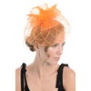 Zac's Alter Ego Lace & Net Fascinator with Feathers on