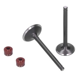 automotive engine, Engine Head Intake Exhaust Valve Steam Seals -cylinder-head Replacement Fit for YINXIANG YX 140cc Engine PIT PRO PIT Bike Trail Dirt Bike Thumpstar Quad ATV Go Kart Dune