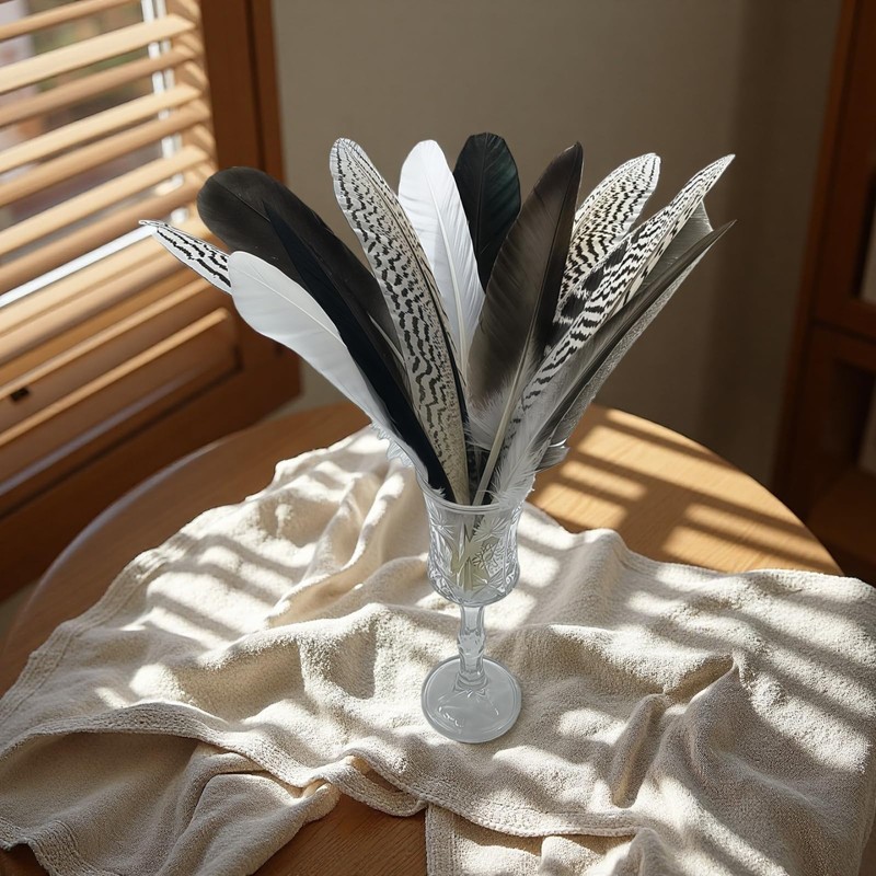 GYBZZR 12Pcs Natural Craft Feathers Long 8-10 Inch-Bulk Feathers for
