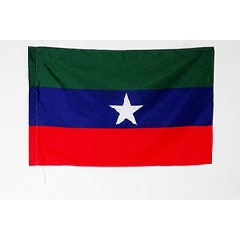 AZ FLAG Ogaden Separatist Flag 2' x 3' for a Pole - ogadena autonomist Flags 60 x 90 cm - Banner 2x3 ft with Hole