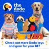 The Dodo 2-in-1 Nylon + Bamboo Dental Chew & Tug,