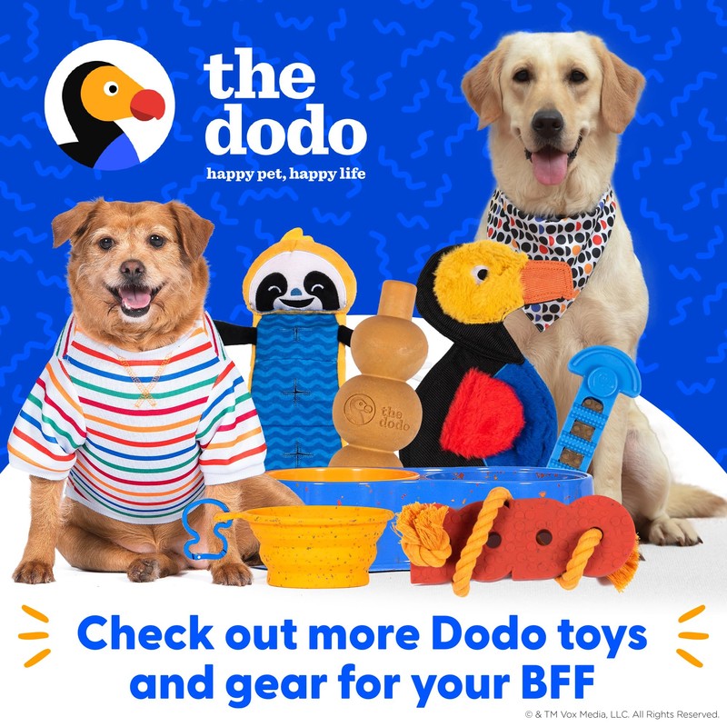 The Dodo 2-in-1 Nylon + Bamboo Dental Chew & Tug,