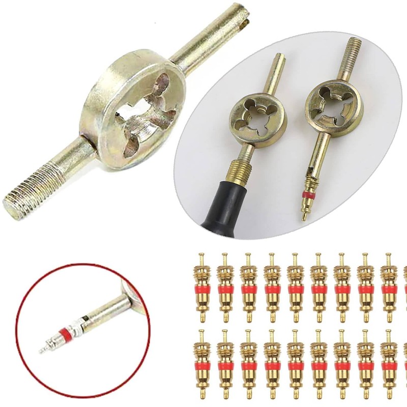 JOYVOX 33-Pcs Tire Valve Repair Kit with Core Remover &