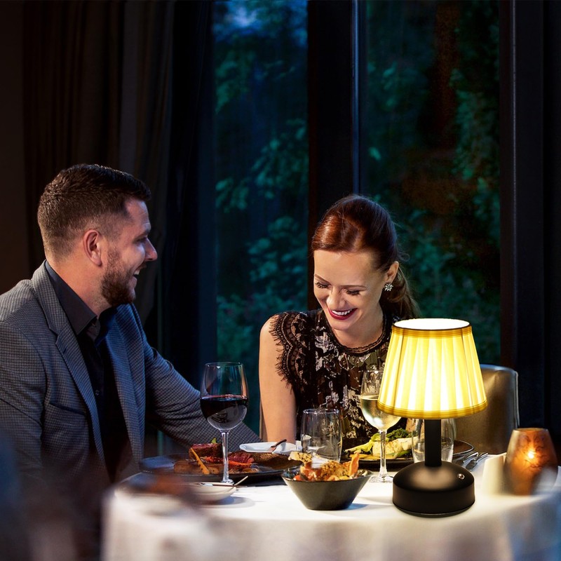 Mr.White Rechargeable Cordless Table Lamp with Fabric Lampshade & Adjustable