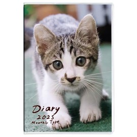 Notebook Diary 2025 / A6 / Cat 1 NS-A601-25CA1 [PT1]