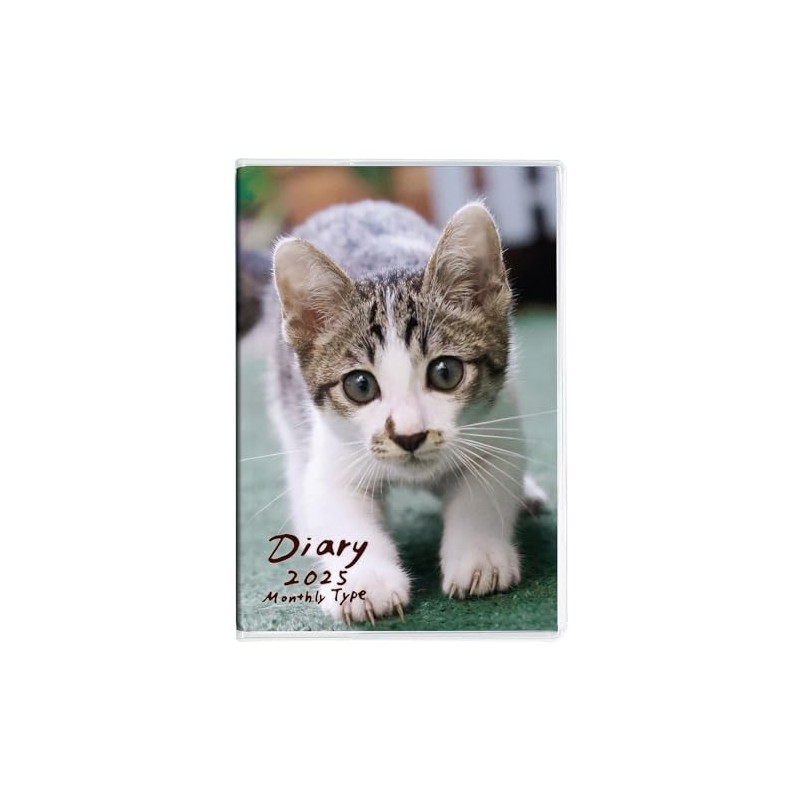 Notebook Diary 2025 / A6 / Cat 1 NS-A601-25CA1 [PT1]