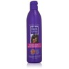 SoftSheen-Carson Dark and Lovely Healthy-Gloss 5 Moisture Conditioner with Satin