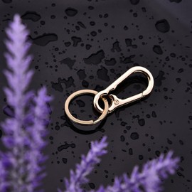 Hapeper Keychain Key Clips Metal Key Ring Key Chain Rings Keyring for Home Car Key Organizer (1, Gold)