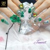 ❣High quality Secret Garden handmade nail tips - Long ballerina