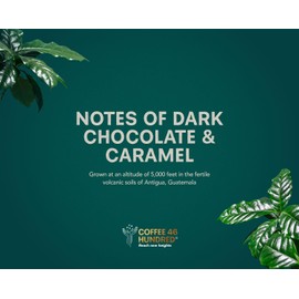 COFFEE 46 HUNDRED® Antigua Guatemala Whole Bean Specialty Coffee - 100% Arabica Single Origin - Medium Roast - 311g/11oz - Grown at 5,000 ft - Supporting Communities in Need