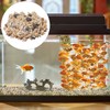 200 Pieces Shell Decoration, Aquarium Decoration Shells, Natural Shell Crafts,
