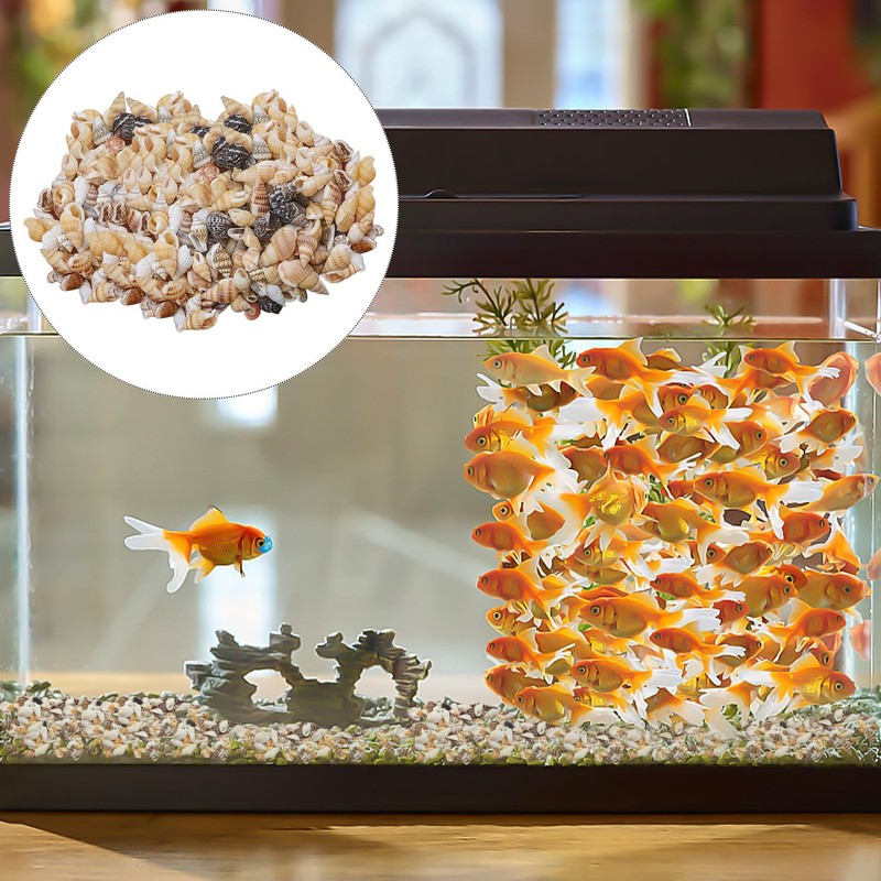 200 Pieces Shell Decoration, Aquarium Decoration Shells, Natural Shell Crafts,