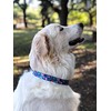 Lucky Love Dog - Adjustable Collar and Leash Set with
