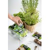 BranQ - Home essential Spice Jars, Kitchen Organiser, Set of
