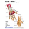 Hand and Foot Support Card Chart with Clip Board Set