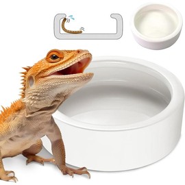 Reptile Food Dish Bowl, Worm Water Dish Small (2.75in) Lizard Gecko Ceramic Pet Bowl, Mealworms Bowls for Leopard Bearded Dragon Chameleon Hermit Crab Dubia Cricket Anti-Escape Superworm Feeder 2 Pack - Color: white, Size: Large-2Pack