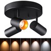 LEONLITE 36W 5CCT 3 Light LED Directional Ceiling Spotlight Fixtures,