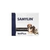 Bet Plus Samilin Four Nutritional Supplement, Liver + Intestinal Health, 2 Pieces / 벳플러스 새밀린 포 영양제, 간+장건강, 2개