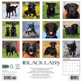 Black Labs 2026 12" x 12" Wall Calendar