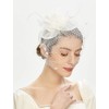 Cizoe Fascinator Hats for Women Tea Party Headband Derby Wedding