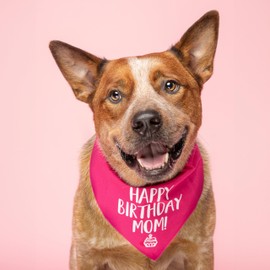 Happy Birthday Mom! Dog Bandana | 100% Cotton Adjustable Triangle | Made in USA | Birthday Pawty | Party Theme | Celebration Photoshoot Prop | Mom Dad | Green, One Size (168)