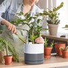 D'vine Dev 4.7 Inch & 6.5 Inch Ceramic Planter Pots