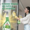 Frosch Eco Limpiacristales Pistola 500 per uso quotidiano, formato pratico